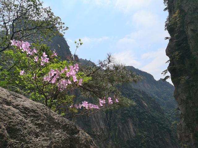 黄山怎样玩好还省钱