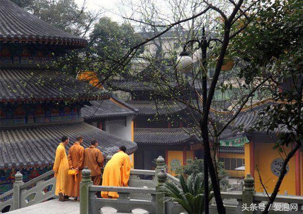 深入最美小县桐庐,感受清凉自然山水,桐庐避暑亲子两日游