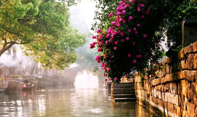 ���ԣ���һ�������ݱش򿨾��㣬԰�ֹ�����ʳ��·���ܣ�