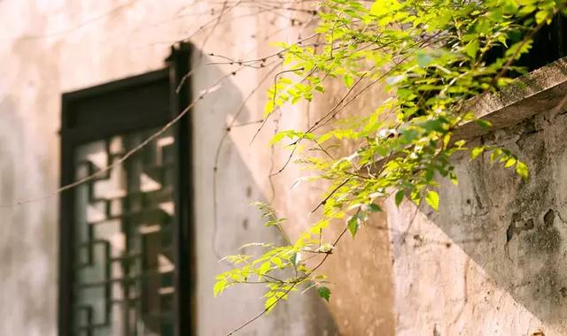 ���ԣ���һ�������ݱش򿨾��㣬԰�ֹ�����ʳ��·���ܣ�