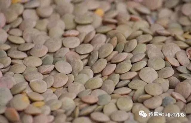 21�����������Ӫ����ֵ���ô�����ͬ������һ����