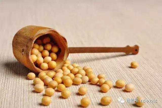 21�����������Ӫ����ֵ���ô�����ͬ������һ����