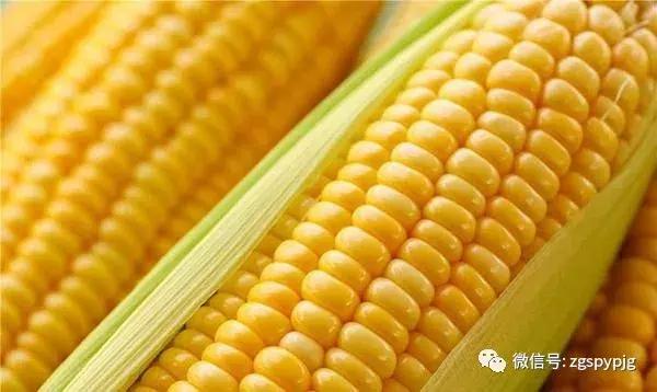 21�����������Ӫ����ֵ���ô�����ͬ������һ����