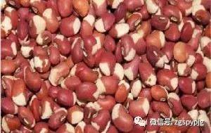 21�����������Ӫ����ֵ���ô�����ͬ������һ����