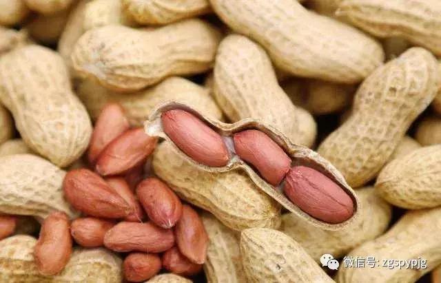 21�����������Ӫ����ֵ���ô�����ͬ������һ����