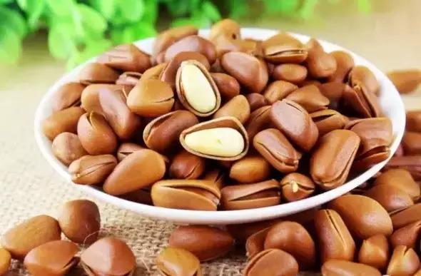 10����ʳ�ý���