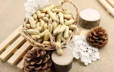 10����ʳ�ý���