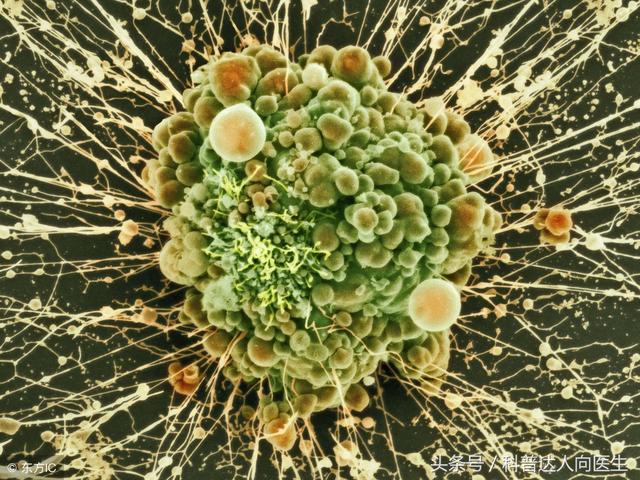 14�ַ�������Զ�방֢�������֪����