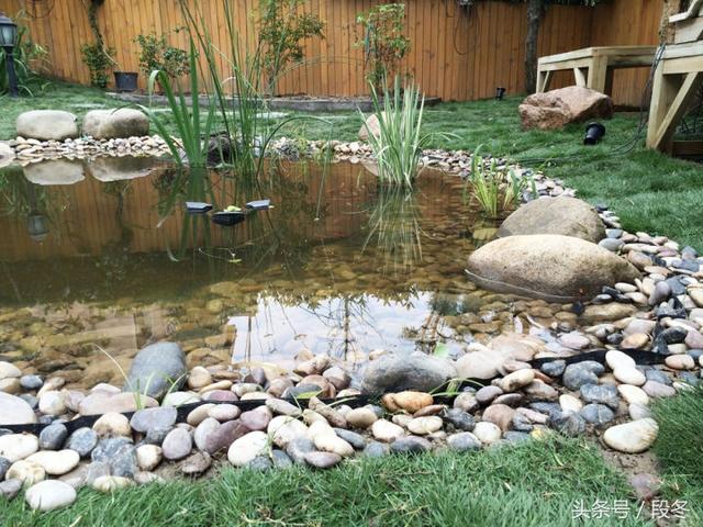 ��ͥԺ��ơ��Լ�������Ժ���ｨ��һ����̬����-�����������