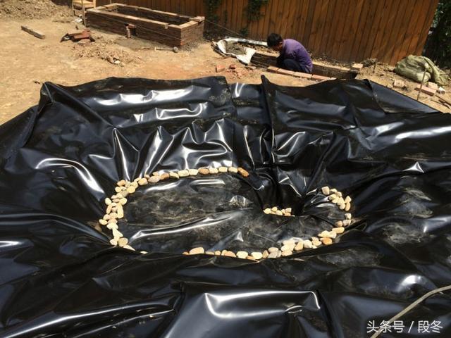 ��ͥԺ��ơ��Լ�������Ժ���ｨ��һ����̬����-�����������