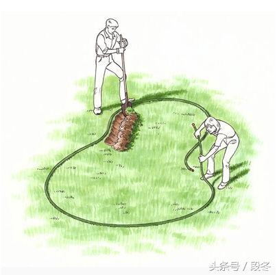 ��ͥԺ��ơ��Լ�������Ժ���ｨ��һ����̬����-�����������