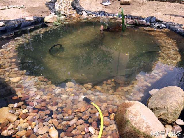 ��ͥԺ��ơ��Լ�������Ժ���ｨ��һ����̬����-�����������