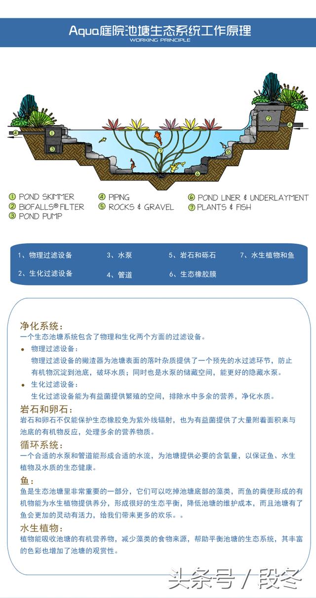 ��ͥԺ��ơ��Լ�������Ժ���ｨ��һ����̬����-�����������