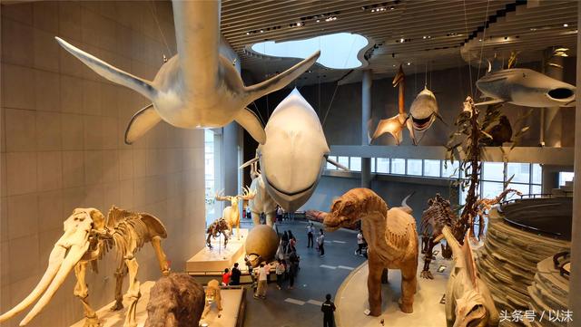 ȥ���Ϻ���Ȼ����ݣ���֪�������С���ж��Ҹ�����