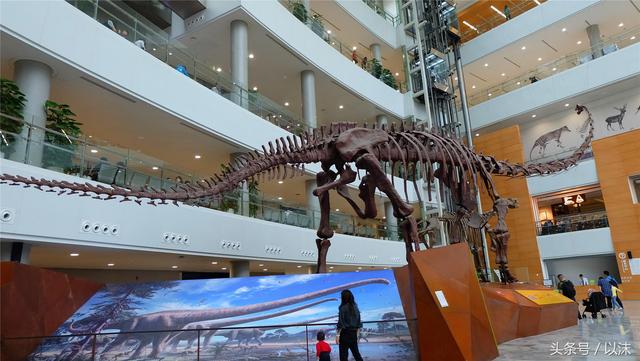 去了上海自然博物馆,才知道这里的小孩有多幸福……
