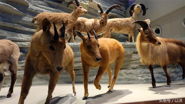 ȥ���Ϻ���Ȼ����ݣ���֪�������С���ж��Ҹ�����