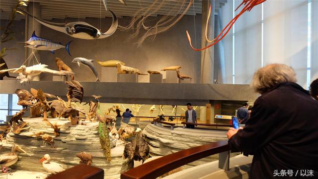 ȥ���Ϻ���Ȼ����ݣ���֪�������С���ж��Ҹ�����