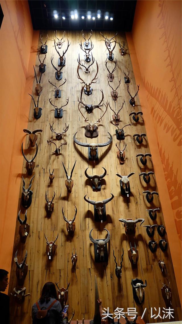 ȥ���Ϻ���Ȼ����ݣ���֪�������С���ж��Ҹ�����