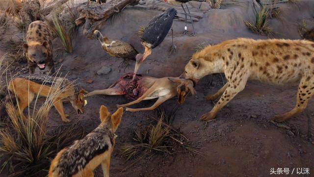 ȥ���Ϻ���Ȼ����ݣ���֪�������С���ж��Ҹ�����