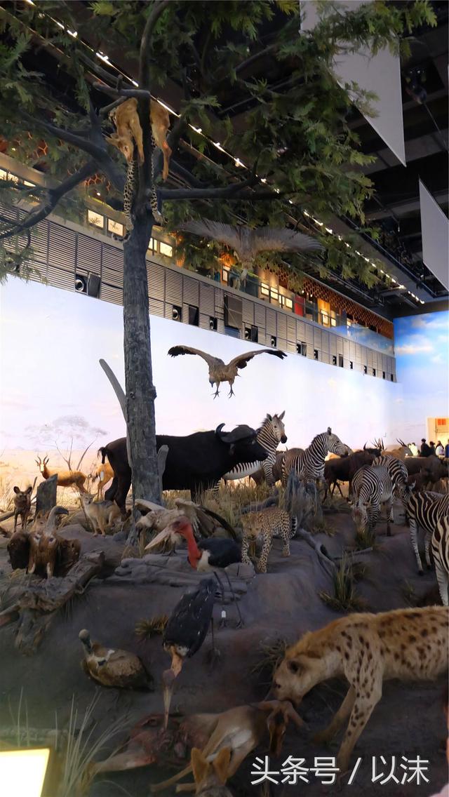 ȥ���Ϻ���Ȼ����ݣ���֪�������С���ж��Ҹ�����