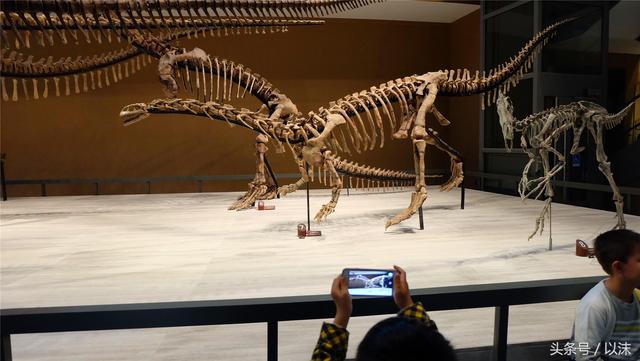 ȥ���Ϻ���Ȼ����ݣ���֪�������С���ж��Ҹ�����