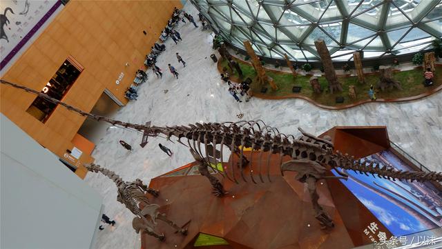 ȥ���Ϻ���Ȼ����ݣ���֪�������С���ж��Ҹ�����