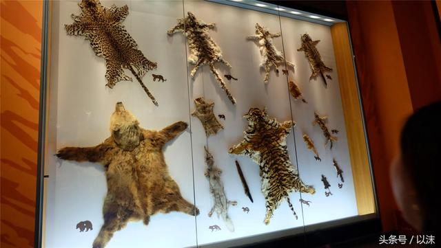 ȥ���Ϻ���Ȼ����ݣ���֪�������С���ж��Ҹ�����