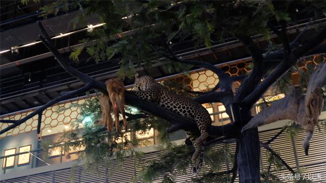 ȥ���Ϻ���Ȼ����ݣ���֪�������С���ж��Ҹ�����