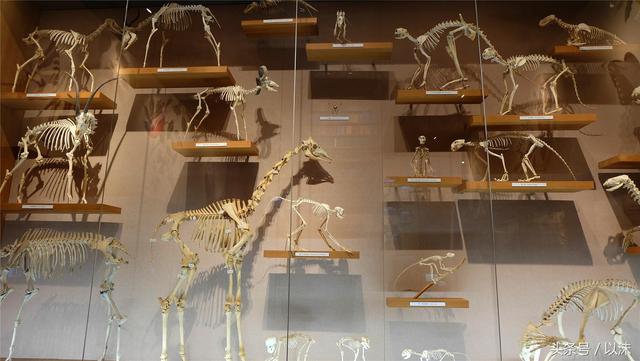 ȥ���Ϻ���Ȼ����ݣ���֪�������С���ж��Ҹ�����