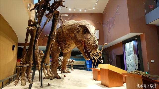 ȥ���Ϻ���Ȼ����ݣ���֪�������С���ж��Ҹ�����