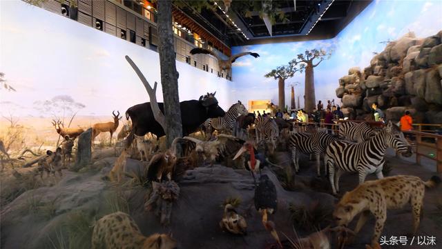 ȥ���Ϻ���Ȼ����ݣ���֪�������С���ж��Ҹ�����