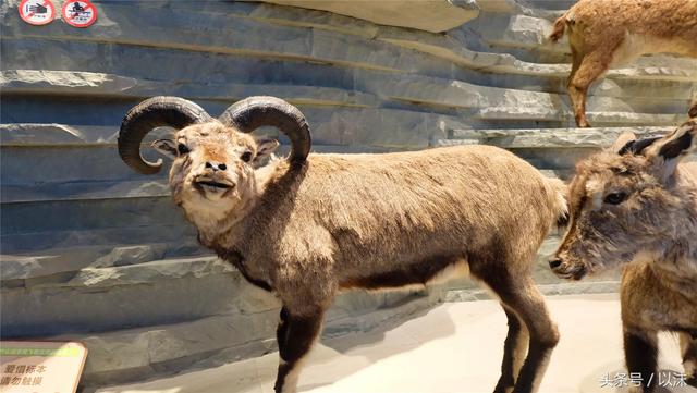 ȥ���Ϻ���Ȼ����ݣ���֪�������С���ж��Ҹ�����