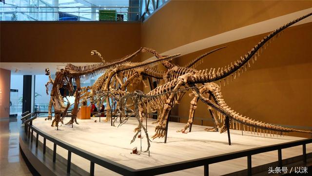 ȥ���Ϻ���Ȼ����ݣ���֪�������С���ж��Ҹ�����