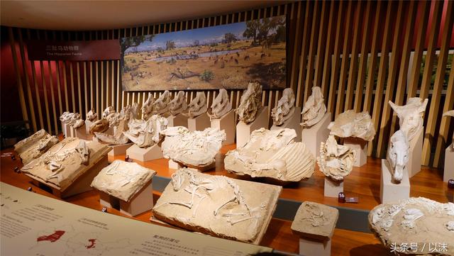 ȥ���Ϻ���Ȼ����ݣ���֪�������С���ж��Ҹ�����