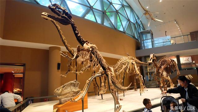 ȥ���Ϻ���Ȼ����ݣ���֪�������С���ж��Ҹ�����