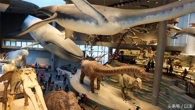 ȥ���Ϻ���Ȼ����ݣ���֪�������С���ж��Ҹ�����