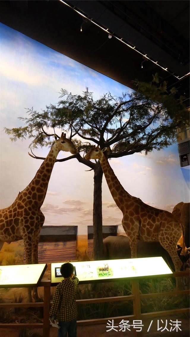 ȥ���Ϻ���Ȼ����ݣ���֪�������С���ж��Ҹ�����