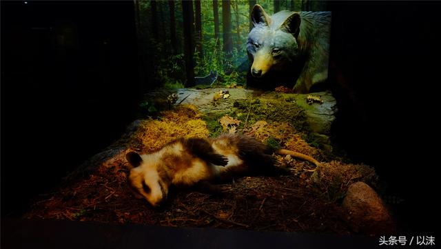 ȥ���Ϻ���Ȼ����ݣ���֪�������С���ж��Ҹ�����