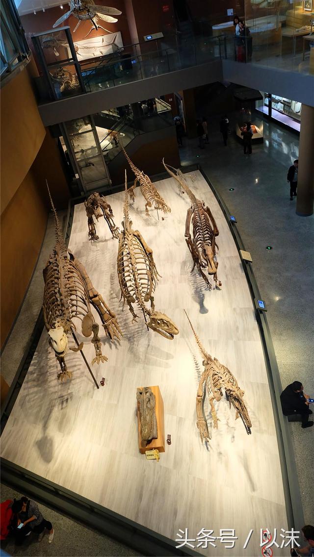 ȥ���Ϻ���Ȼ����ݣ���֪�������С���ж��Ҹ�����