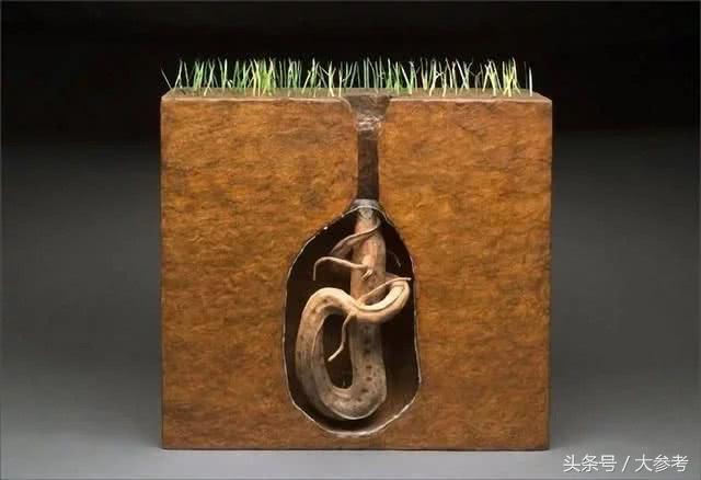 世界上最牛的鱼:生活在42度高温的沙漠,无水可存活4年