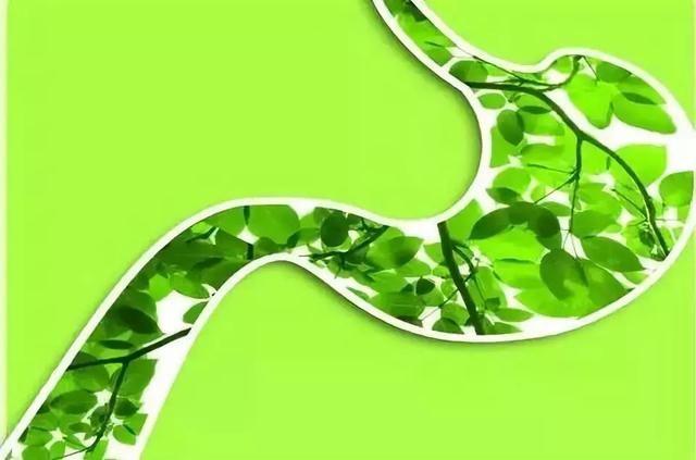 肚子疼有好多种,不同部位预示不同疾病,几招教你正确区分