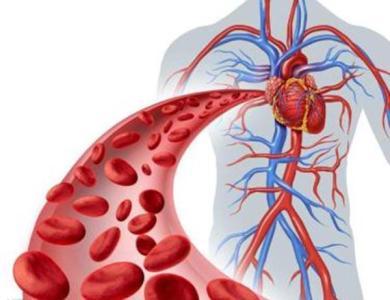 ��������23���˯�����ˣ���4�����κõĲ����ͻ�������������