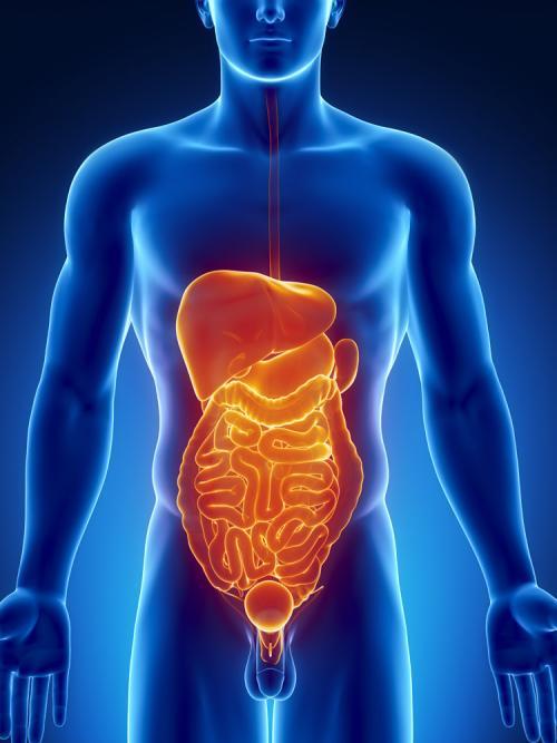 ��������23���˯�����ˣ���4�����κõĲ����ͻ�������������