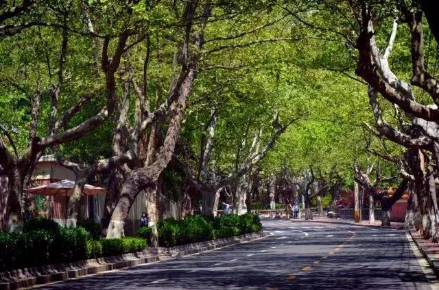 青岛所有好玩的地方都在这里了!