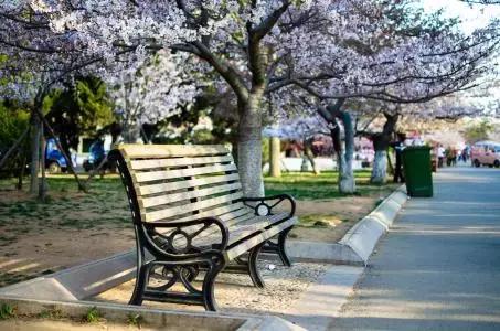 青岛所有好玩的地方都在这里了!