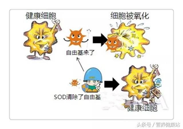 ��Ϊʲô��ò�����һ���˽⣬���һ�꣡