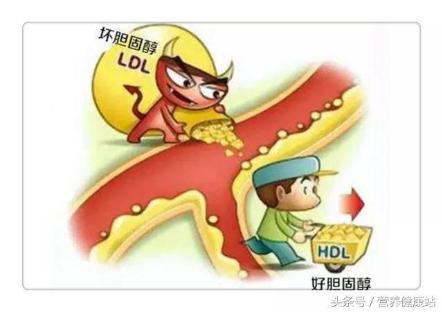 ��Ϊʲô��ò�����һ���˽⣬���һ�꣡