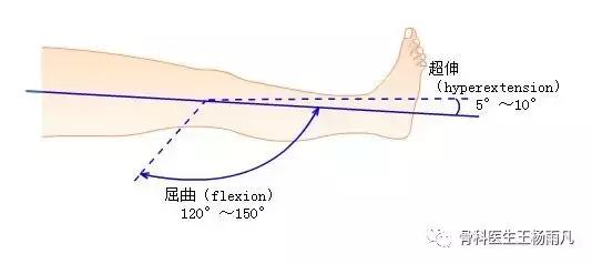 厉害了!人类膝关节使用说明书