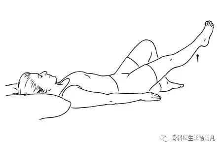 厉害了!人类膝关节使用说明书