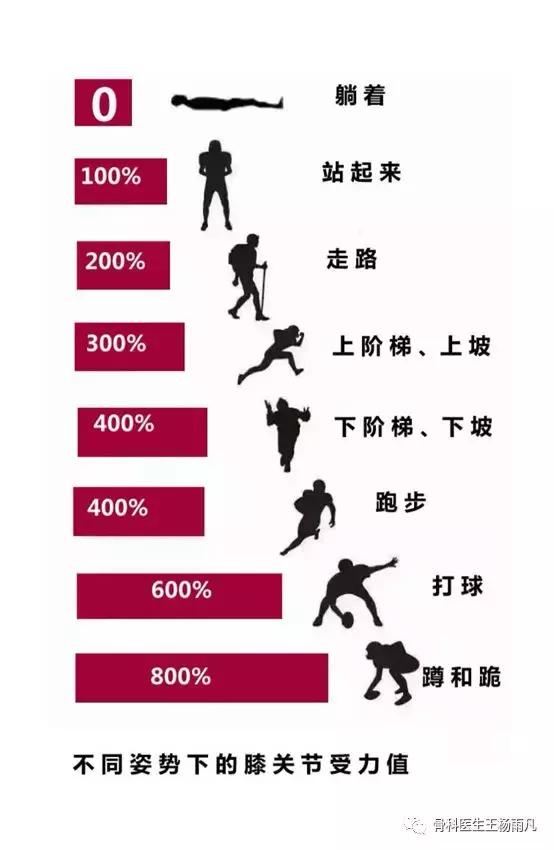 厉害了!人类膝关节使用说明书